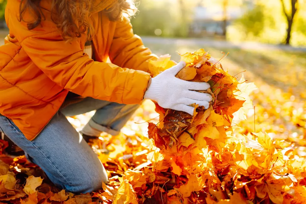 Grand Junction Leaf Pickup Has New Dates for 2026
