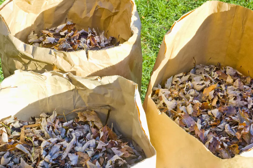 Montrose Residents Can Get Free Leaf Pickup Through December