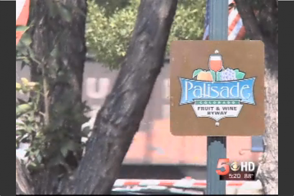 Grand Junctions News Channel 5 Also Wants Palisade, Colo. to Win ‘Coolest Small Town of 2013′