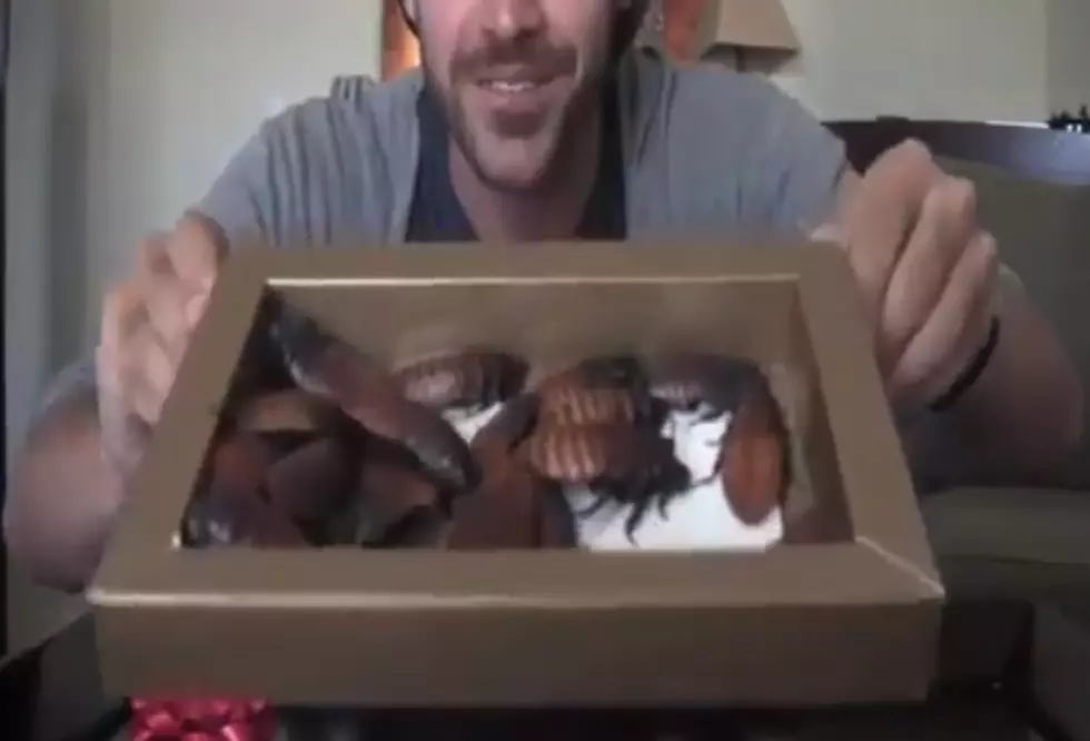 Boyfriend Pranks Girlfriend with Box of Cockroaches