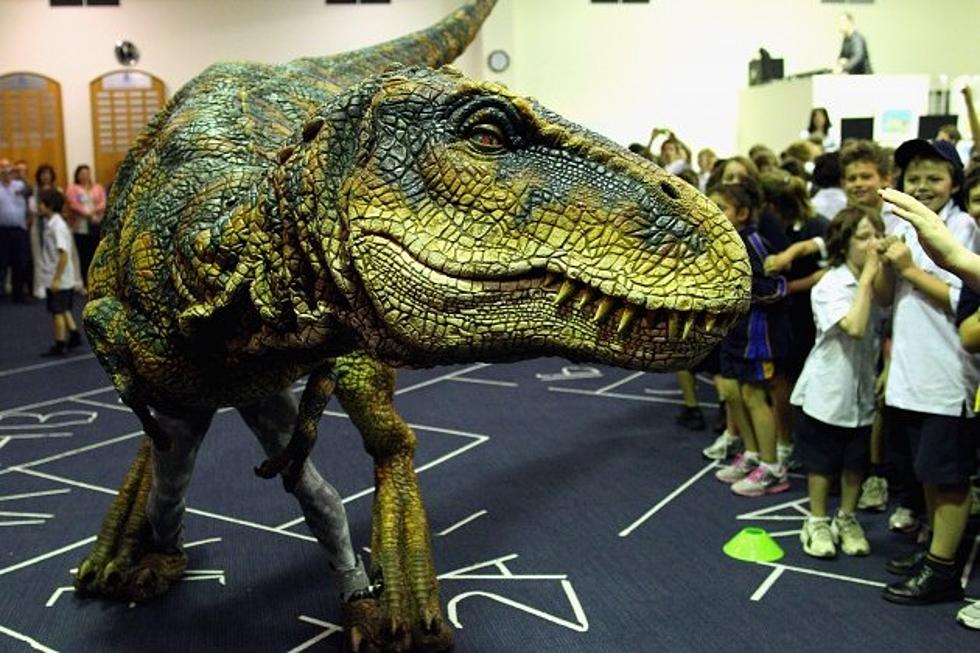 The Secret of This T-Rex Optical Illusion is Even More Amazing Than the Trick Itself