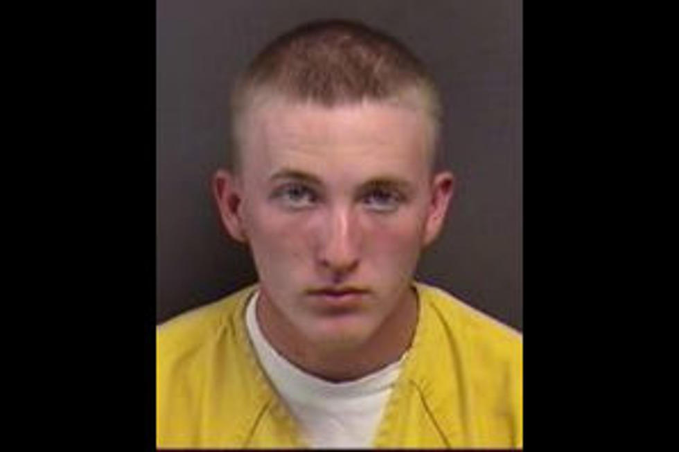 Grand Junction Police Arrest Man for Multiple Car Break-Ins
