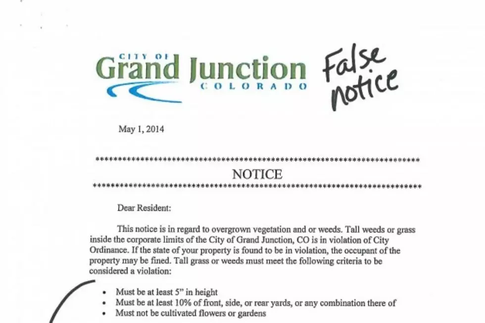 Fake Weed Violation Notices Sent to Grand Junction Residents