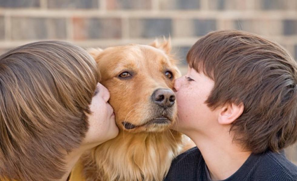 Should Children Be Told Their Pet Will Die Some Day? POLL