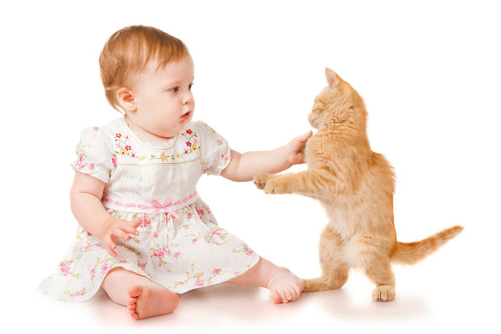 Baby’s Enthusiasm for Family Cat Will Make You Laugh [VIDEO]