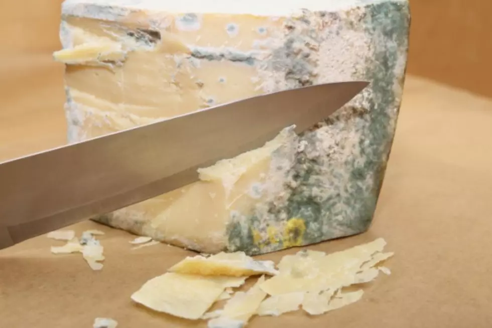 Is it Really Okay to Eat That Moldy Cheese?