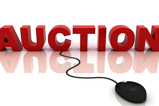 Bargains Abound at the Seize The Deal Online Auction