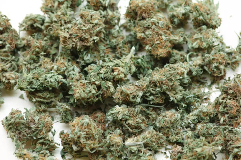 Colorado Pot Recall: Are You Using Tainted Marijuana?