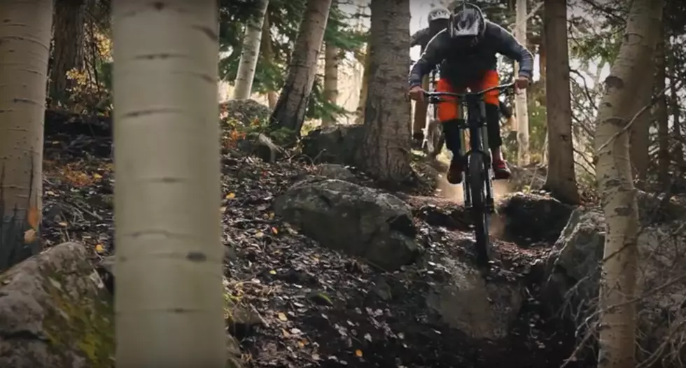 Powderhorn Resort Introduces New Downhill Mountain Biking Trails
