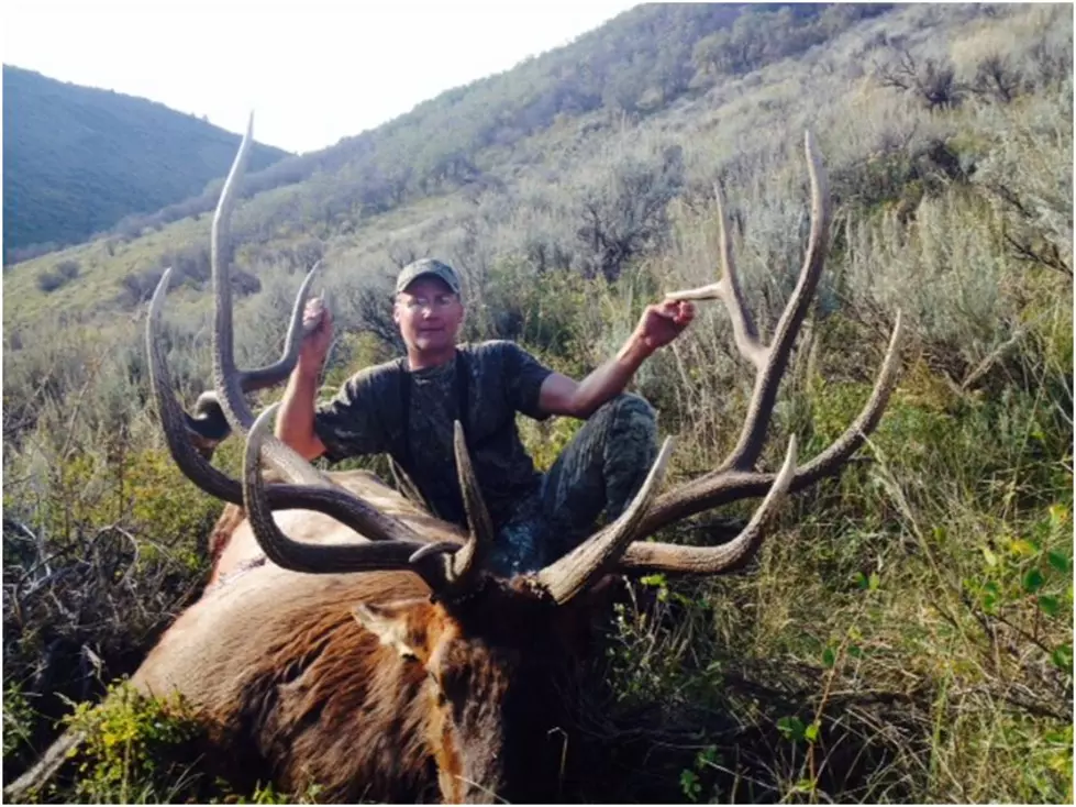 Fruita Man Pleads Guilty to Trophy Elk Poaching