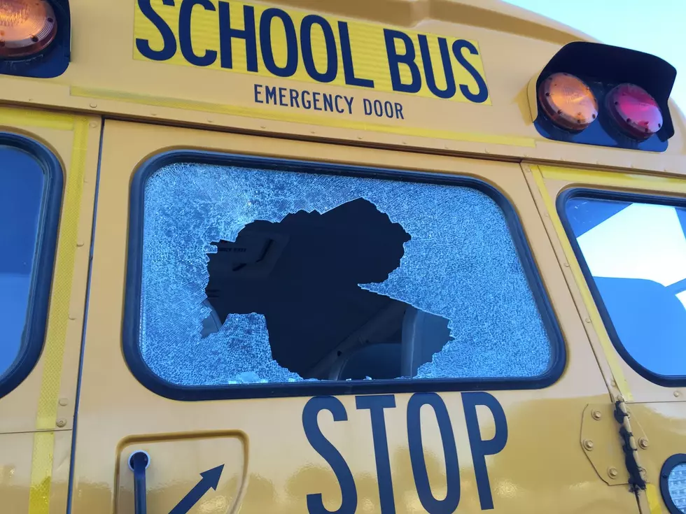School Bus Damage