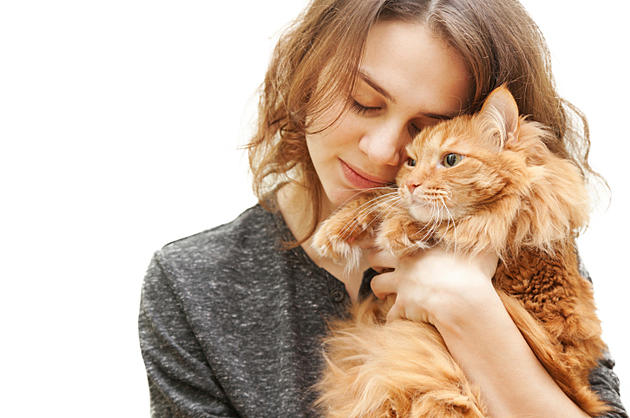 Survey Finds Cat Lovers are Crazy in Love With Their Feline Friend