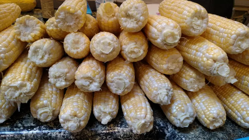 Sweet Corn Season Is Here