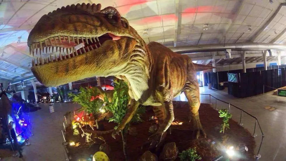 Jurassic Quest Returns to Grand Junction in 2016