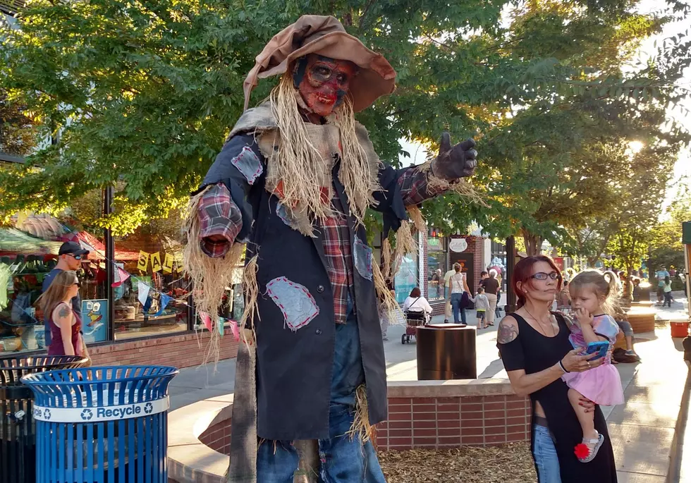 Photo Highlights From Final Grand Junction Farmers Market of the Season