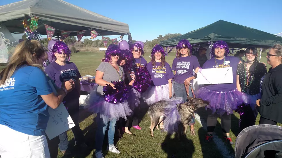 Record Number of Grand Junction Walkers Sends ALZ Past Goal