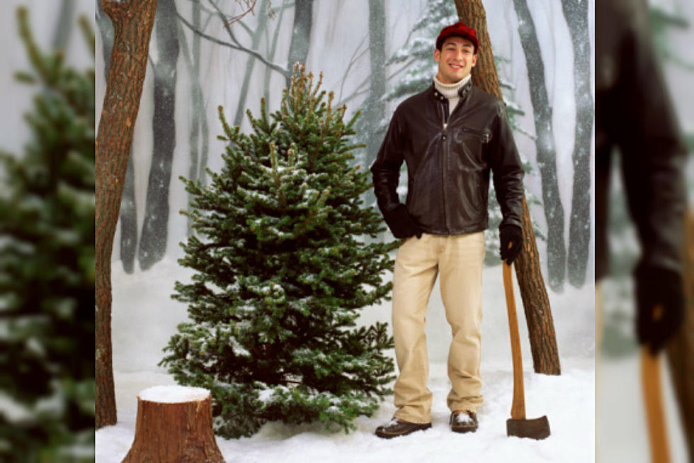 How to Get a Christmas Tree Cutting Permit in Mesa County