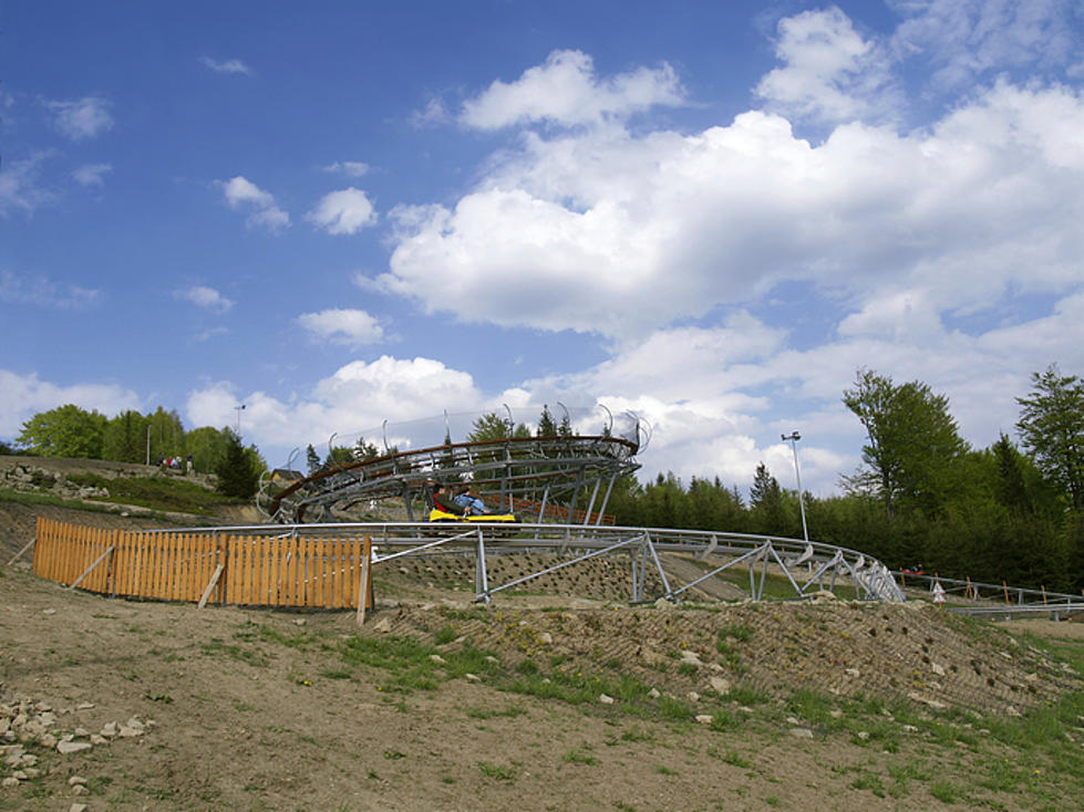 Really Long Alpine Coaster