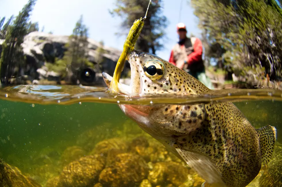Five Awesome Colorado Fishing Destinations This Spring