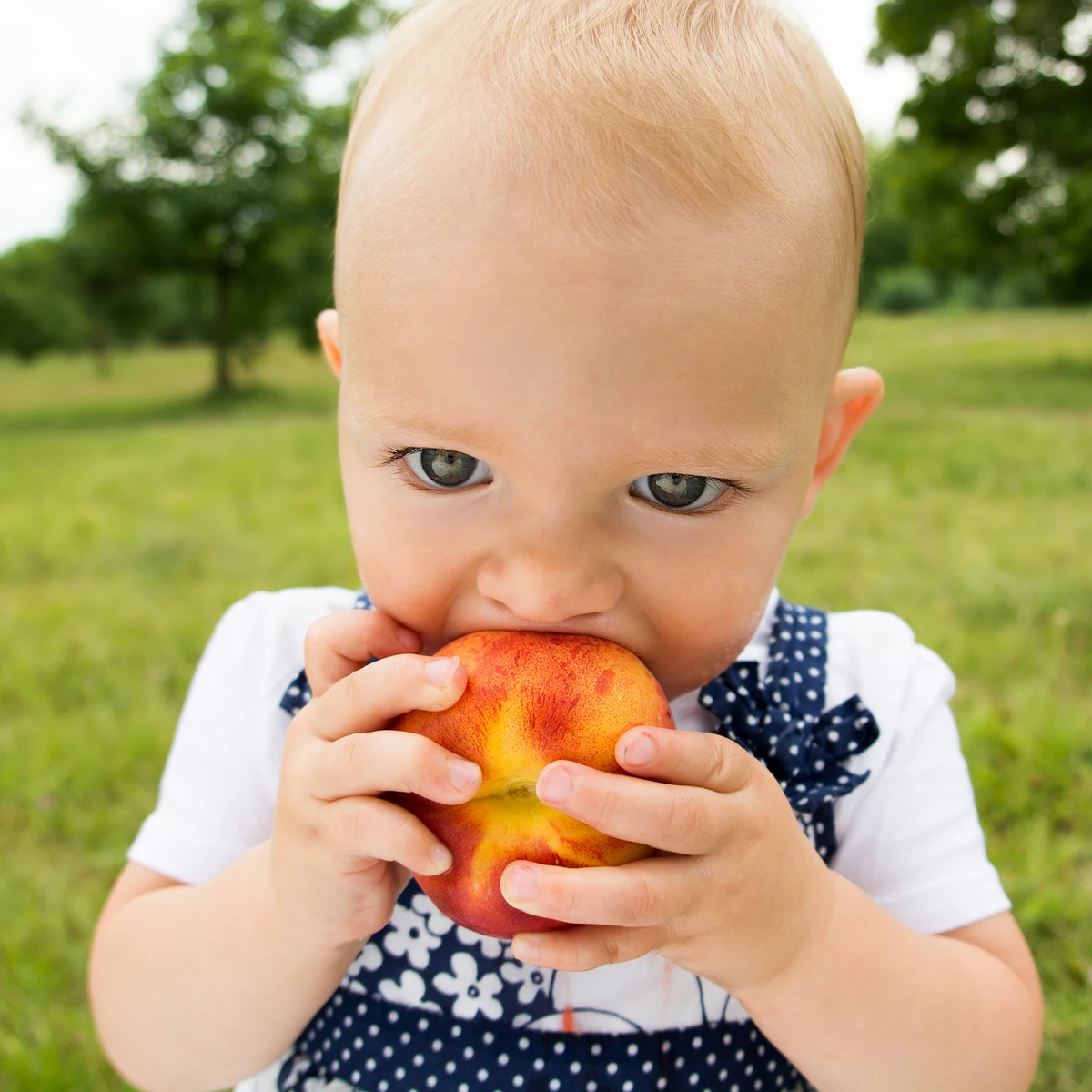 Девочка показала персик. Персик для детей. Мальчик с персиками. Кушать персик. Девочка ест персик.