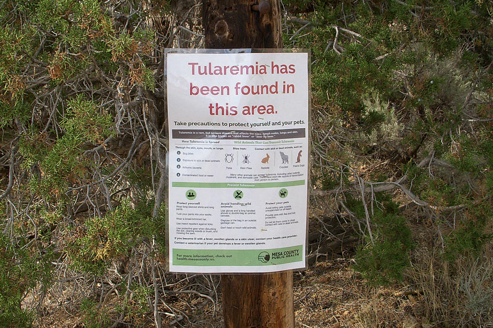 Tularemia Warning Posted on the Grand Mesa