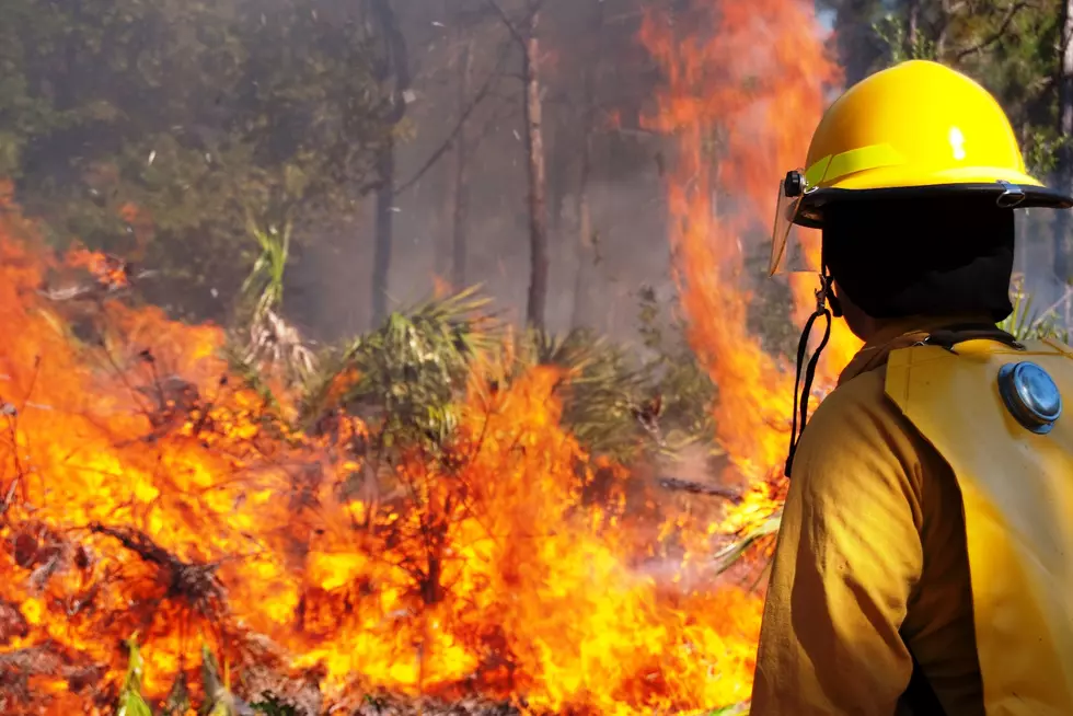 Time Lapse Video Shows Destruction Of Colorado's Spring Fire