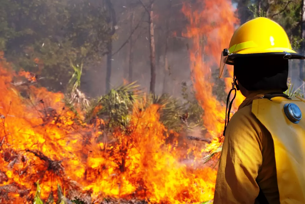 Colorado Wildfire History