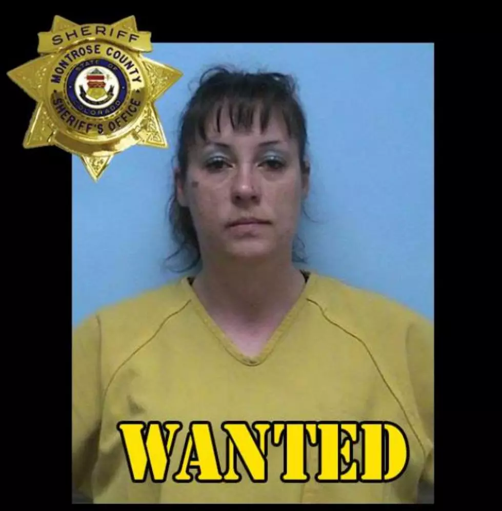 Montrose County Sheriff's Office