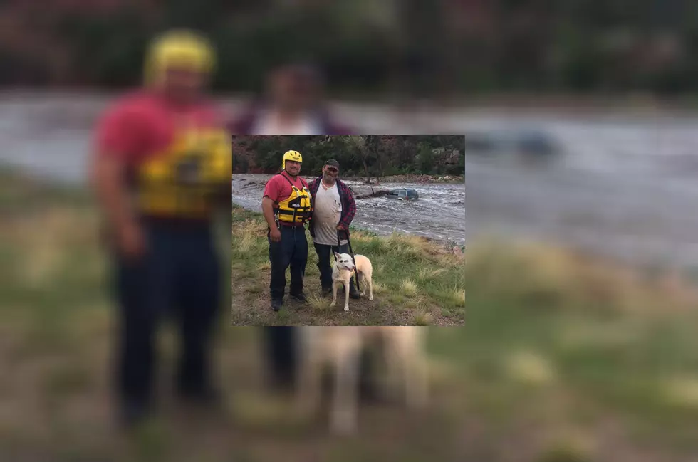 Watch Man and Dog Get Rescued From Raging Colorado Flood