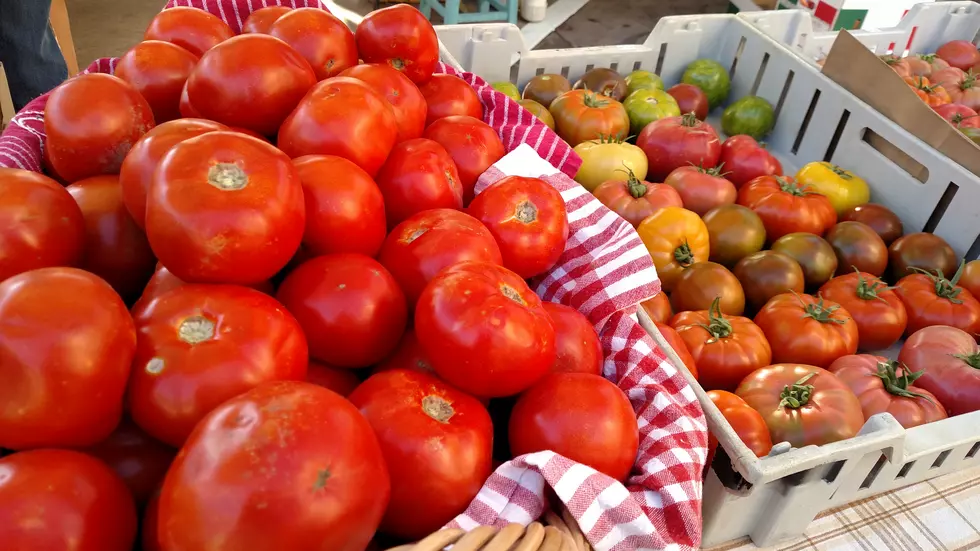 Where to Find Fall Produce and Farmers Markets in Western Colorado