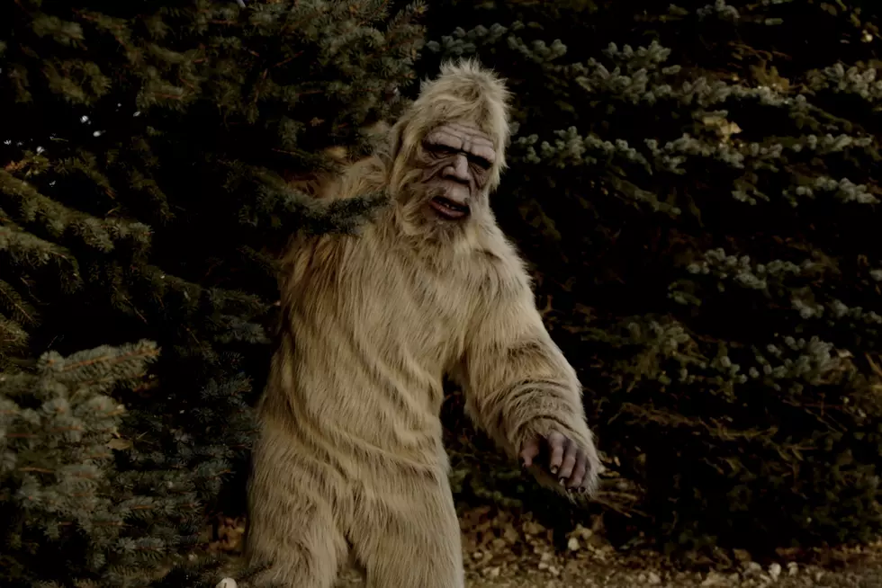 Leadville Residents Surprised by Bigfoot Sightings
