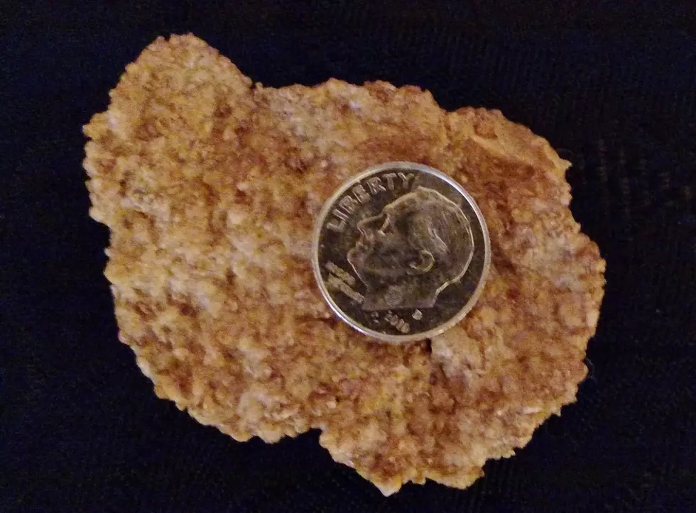 This Might Be the World’s Largest Corn Flake