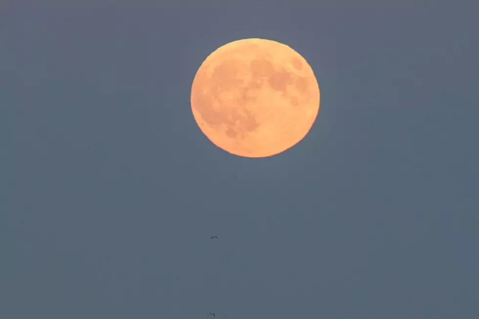 Super Blue Blood Moon to Grace Western Colorado Sky