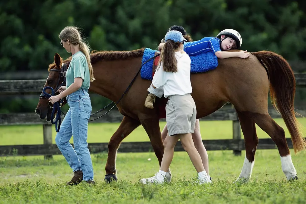 Equine Therapy Program in Grand Junction Having Fund Raiser