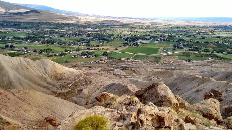 Scenic Fruit and Wine Byway in Palisade to Benefit From Grand Valley Marathon