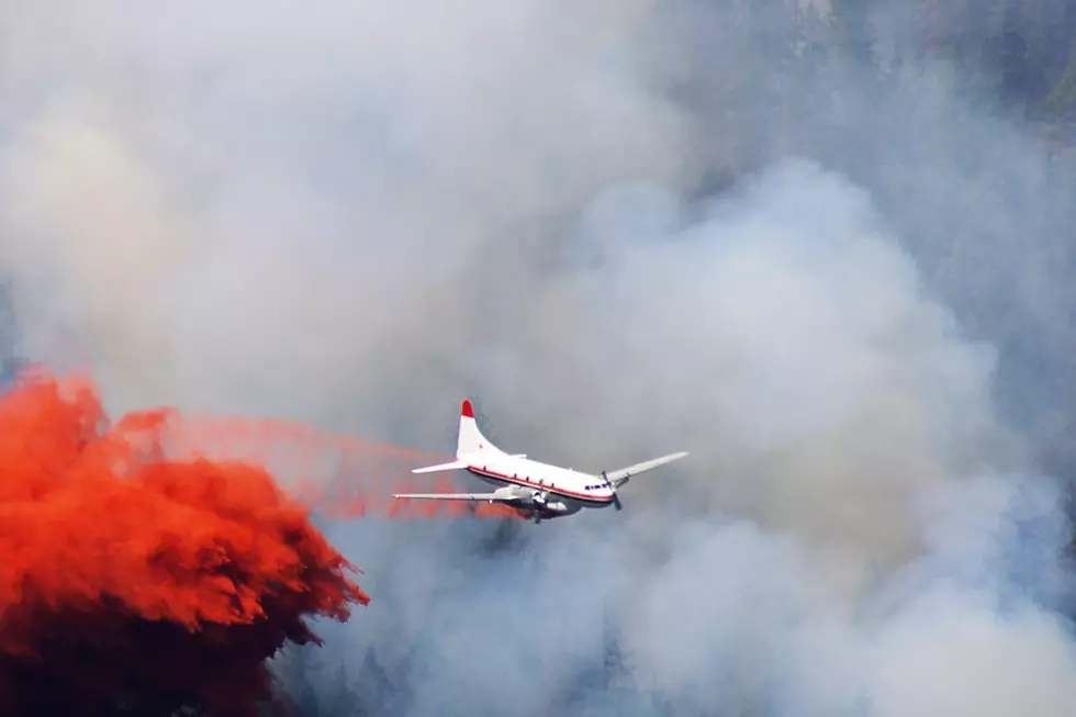 Additional Crews Brought in to Fight Love Mesa Fire in Colorado