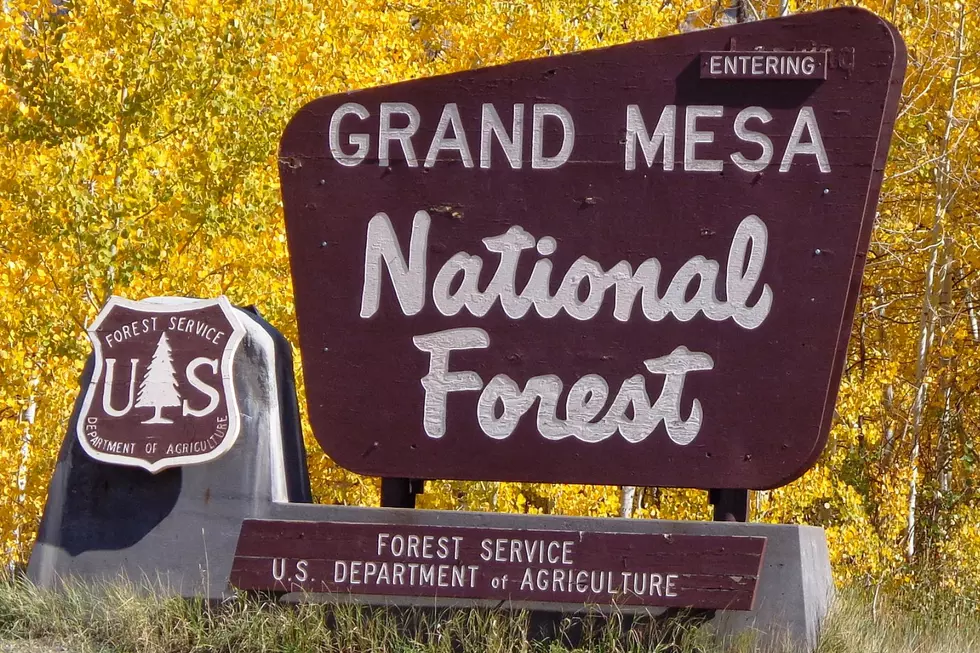 Part of Grand Mesa&#8217;s Crag Crest Trail Closing