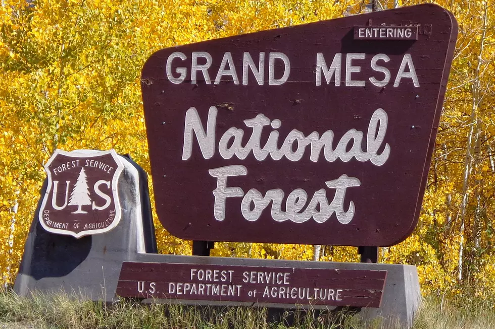 Part of Grand Mesa's Crag Crest Trail Closing