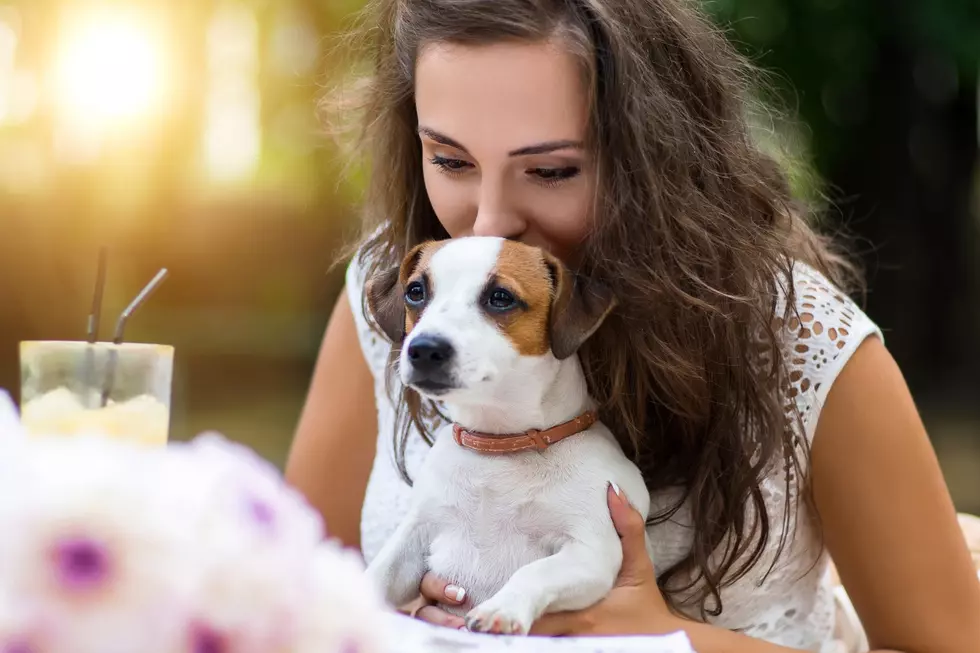 5 Important Questions to Answer Before Getting a Pet