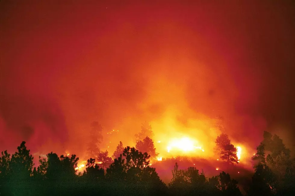 Over 206,000 Acres Burned by Colorado Wildfires