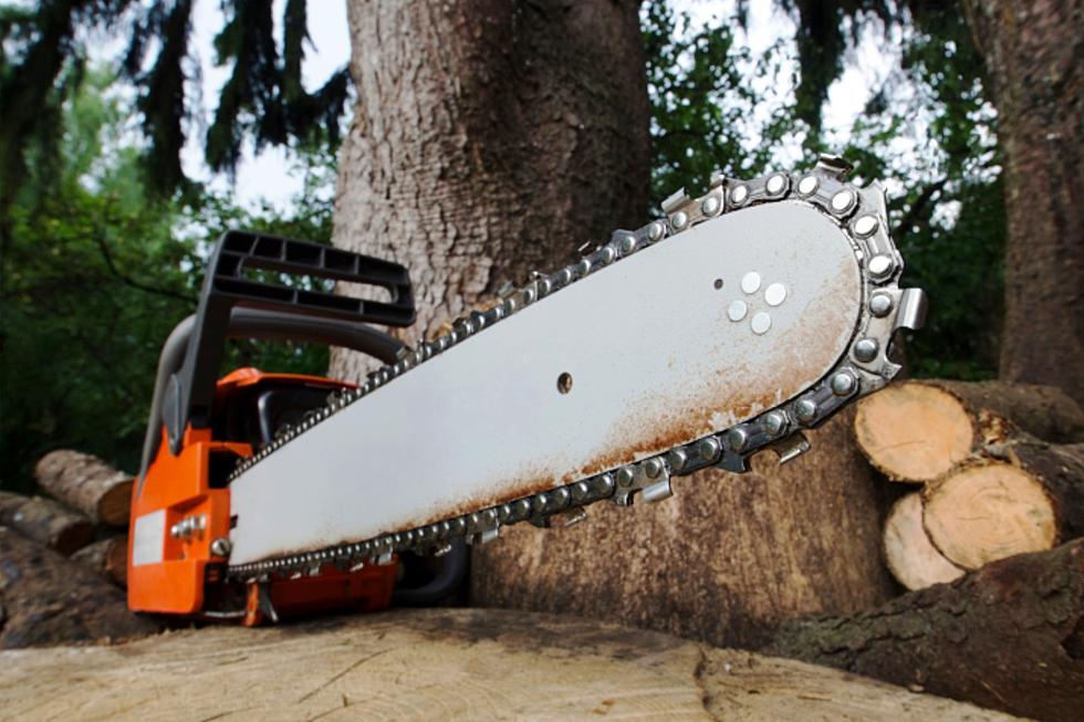 New Firewood Harvesting Area Opened in Western Colorado