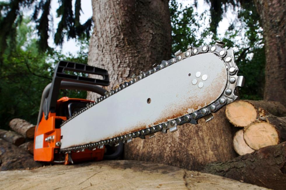Chain Saws Approved To Remove Bark Beetle Damaged Trees