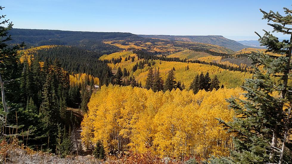 Colorado’s Magnificent Fall Colors Captured in Birdseye View