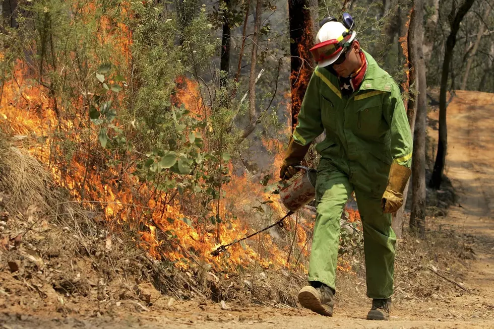 Six Areas in Western Colorado Targeted for Prescribed Burns 