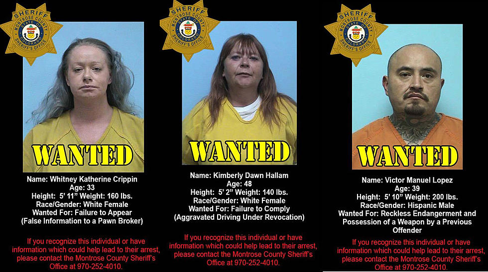 This Week&#8217;s Most Wanted in Montrose