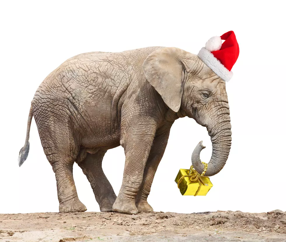 Where Did the Popular White Elephant Gift Exchange Originate?