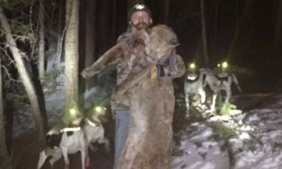 Here's the Guy Who Illegally Killed a Colorado Mountain Lion