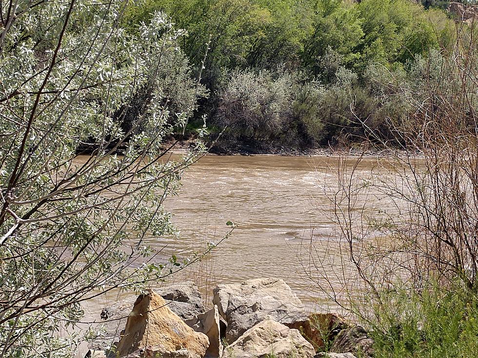 A Woman Falls Into The South Fork Of The Rio Grande River
