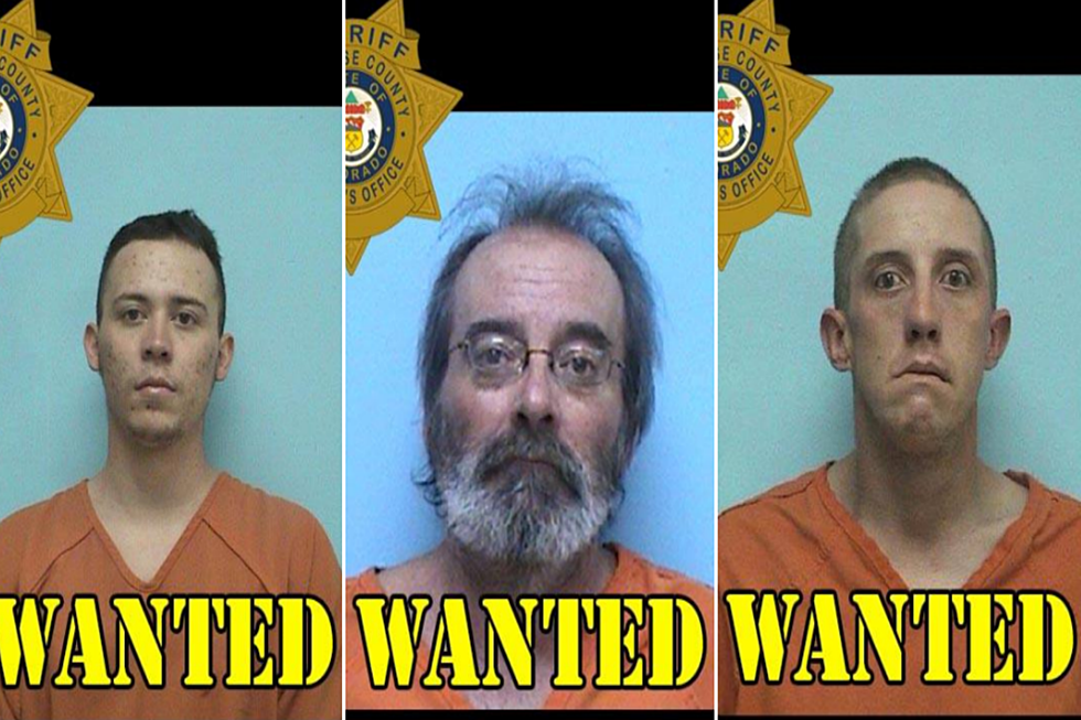 Montrose Most Wanted: Drugs, Menacing, Criminal Impersonation