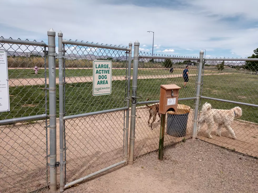 UPDATED: Canine Parvovirus Linked to Canyon View Dog Park